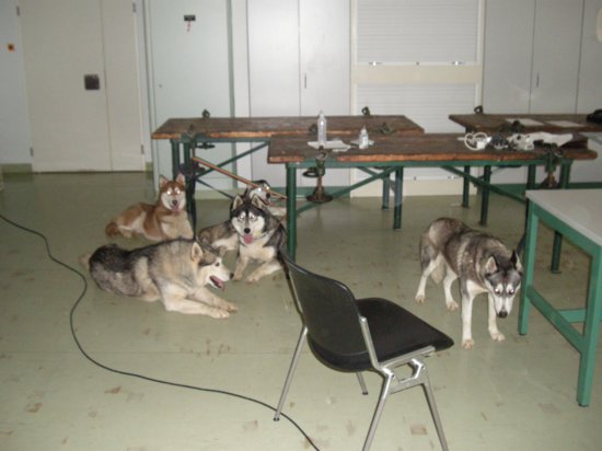 dscn0777.jpg