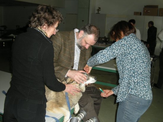 dscn0779.jpg