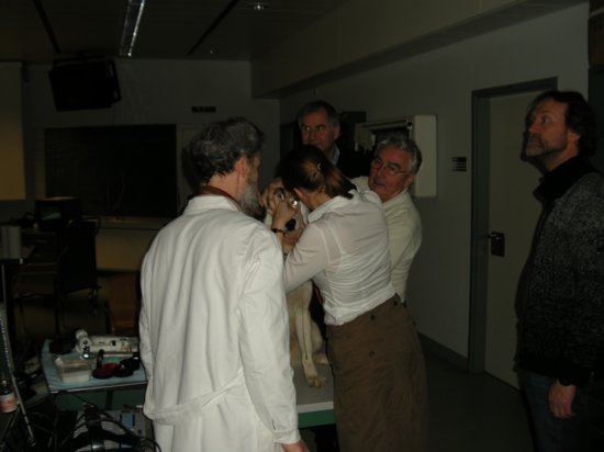 dscn0784.jpg