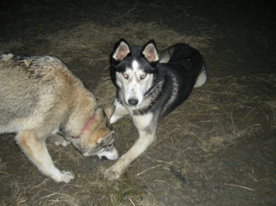 dscn0794.jpg