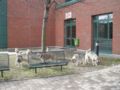 dscn0780.jpg