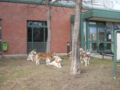 dscn0781.jpg