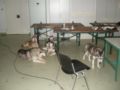 dscn0777.jpg