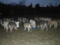 dscn0799.jpg