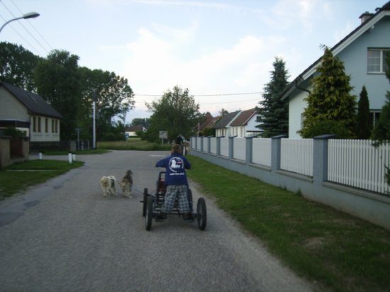 r0011695.jpg