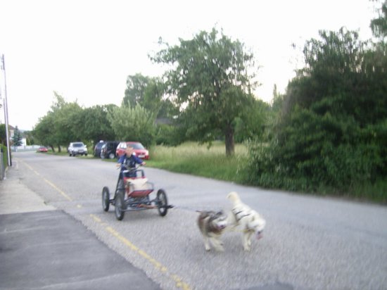 r0011700.jpg