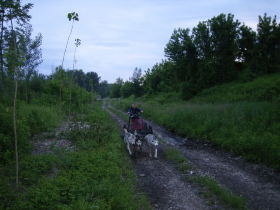 r0011722.jpg