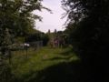 r0011758.jpg