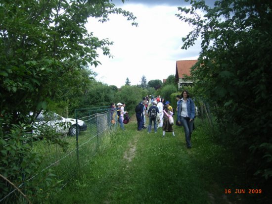 r0011852.jpg