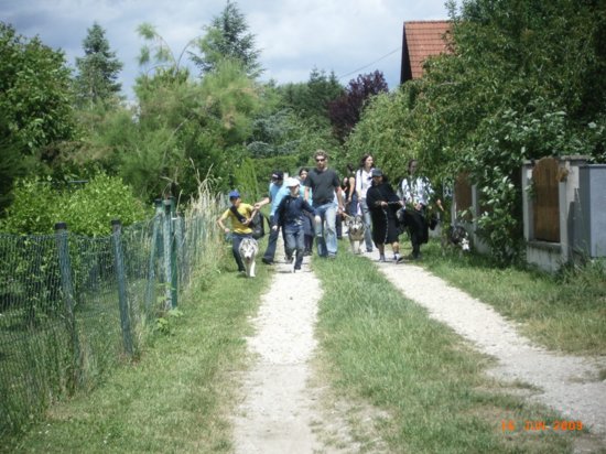 r0011890.jpg