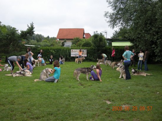 dscn1338.jpg