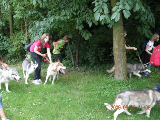 dscn1352.jpg