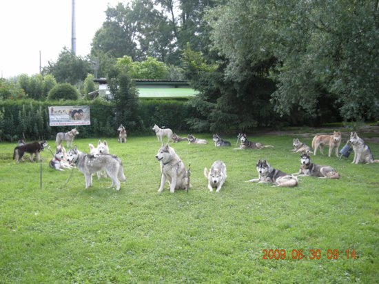 dscn1359.jpg