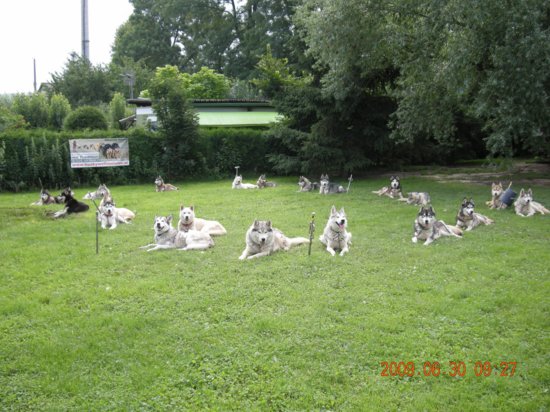 dscn1360.jpg