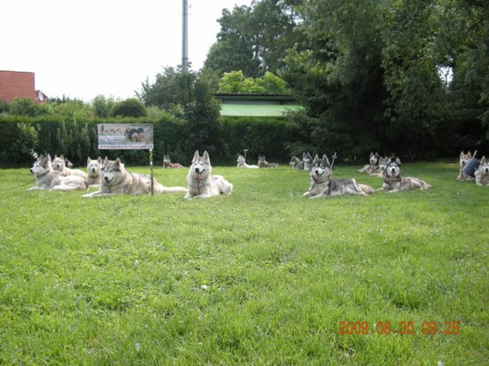 dscn1361.jpg