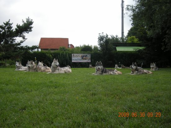 dscn1363.jpg