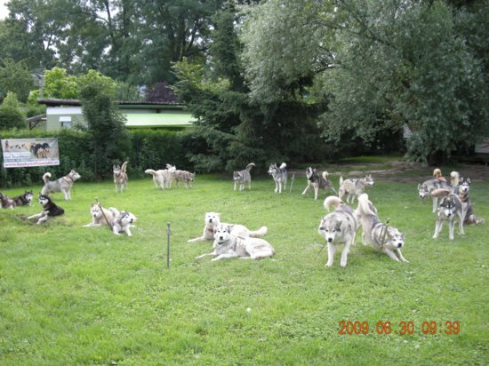 dscn1365.jpg