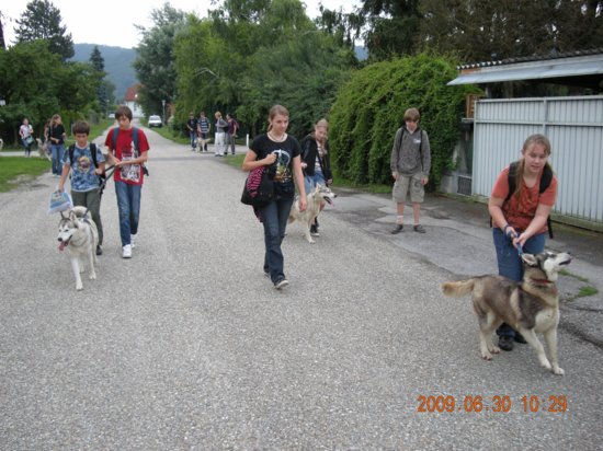 dscn1374.jpg