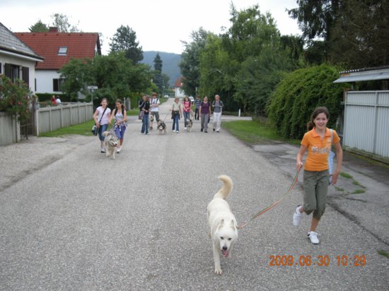 dscn1375.jpg