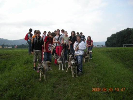 dscn1377.jpg