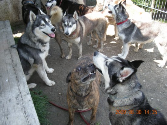 dscn1385.jpg