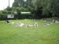 dscn1360.jpg