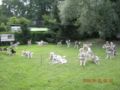 dscn1365.jpg