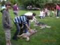 dscn1367.jpg