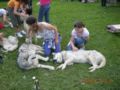 dscn1368.jpg