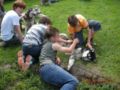 dscn1369.jpg