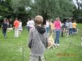 dscn1371.jpg