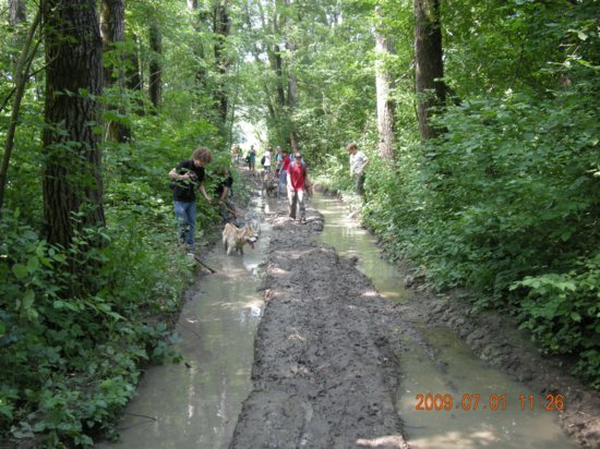 dscn1399.jpg