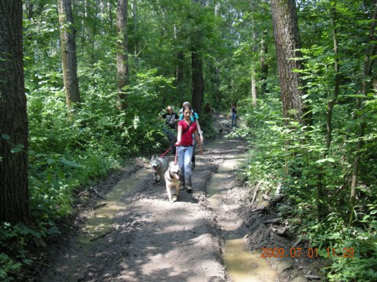 dscn1403.jpg