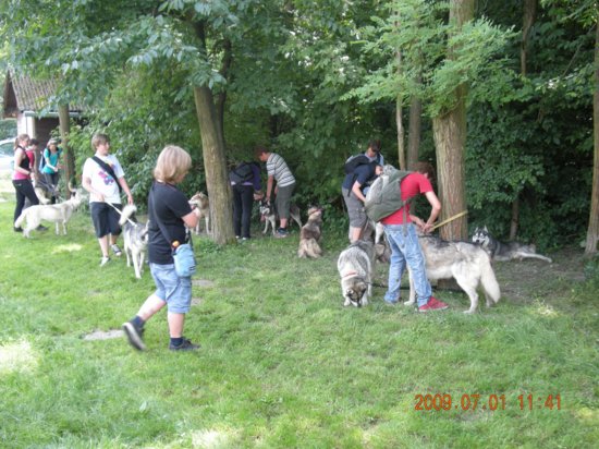 dscn1410.jpg