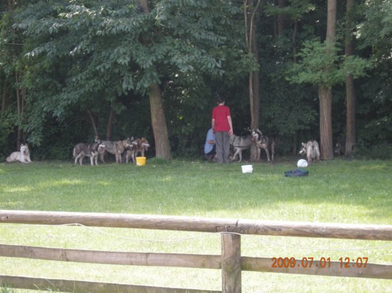 dscn1413.jpg