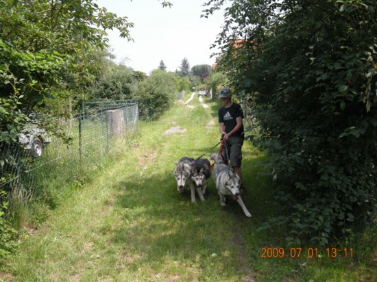 dscn1426.jpg