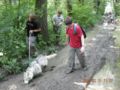 dscn1400.jpg