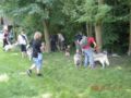 dscn1410.jpg