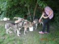 dscn1411.jpg