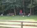 dscn1413.jpg