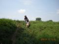 dscn1422.jpg