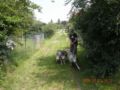 dscn1426.jpg