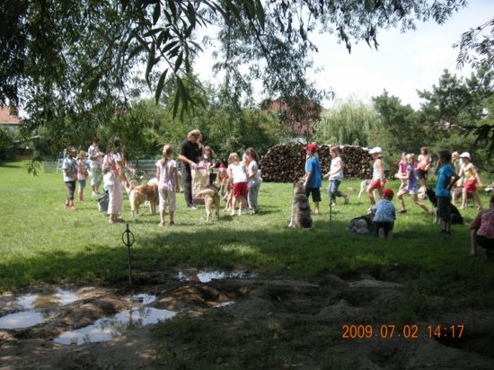 dscn1446.jpg