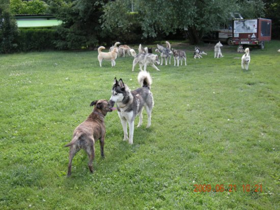 dscn1286.jpg