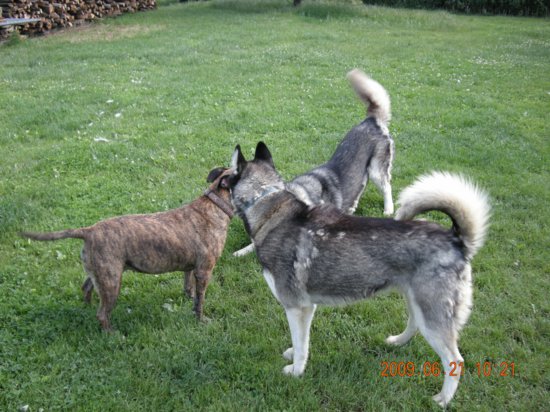 dscn1287.jpg