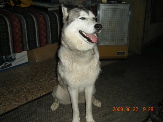 dscn1295.jpg