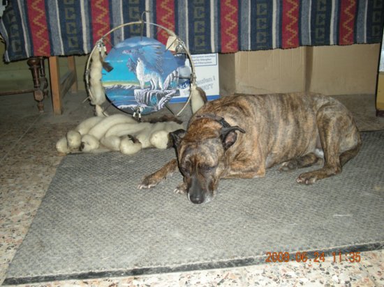 dscn1301.jpg