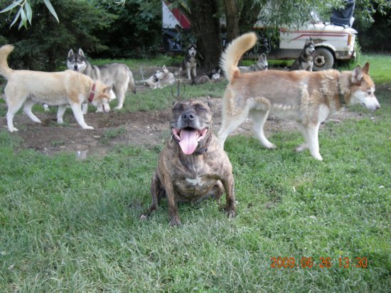 dscn1316.jpg