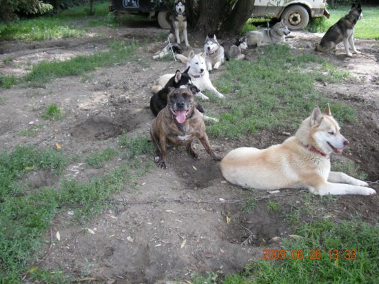 dscn1317.jpg