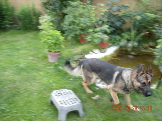 dscn1318.jpg